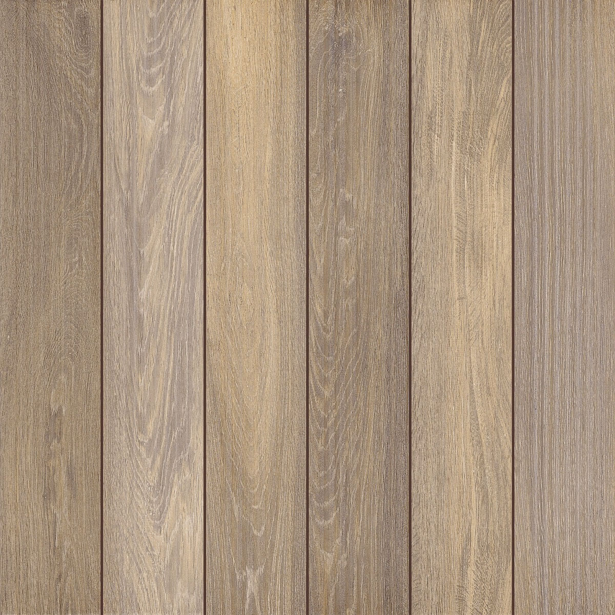 Piso 62x62 Garden Plus AD HD Acetinado Bold Cecafi