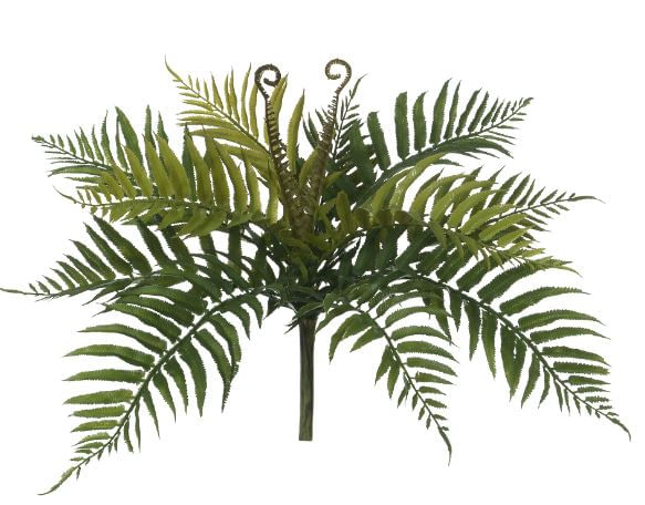 Folhagem Samambaia com Print X13 43cm Verde Flor Arte