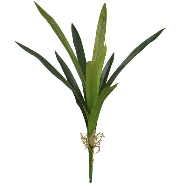 Folha Orquídea Cymbidium 59cm Verde Flor Arte