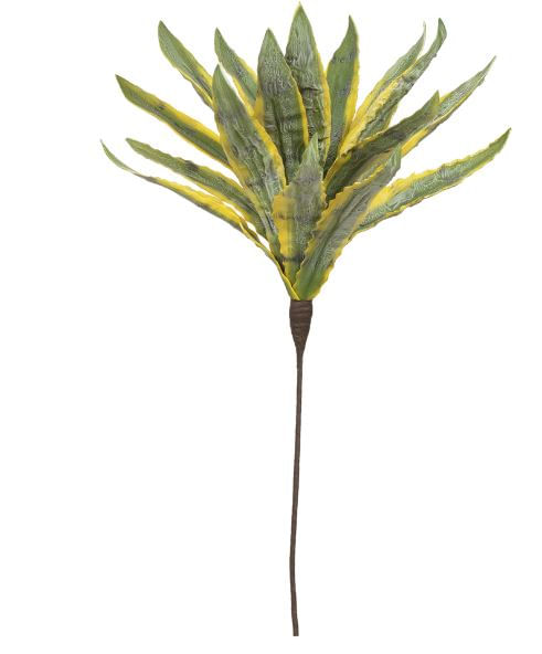 Dracena Reflexa X18 90cm Verde e Amarelo Flor Arte