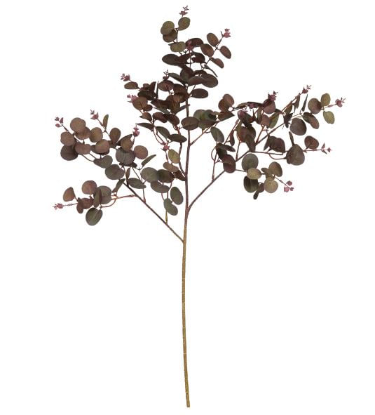 Galho Eucalipto X144 77cm Marsala Flor Arte