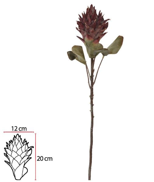 Protea 75cm Marsala Flor Arte