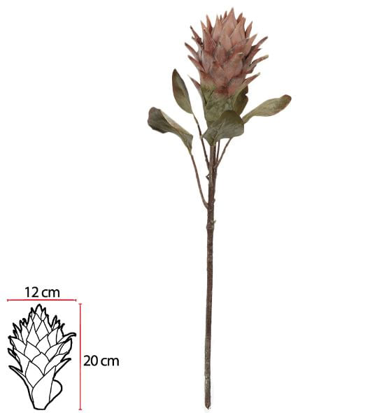Protea 75cm Palha Flor Arte