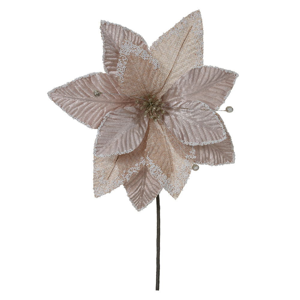 Haste Bico de Papagaio 29cm Champagne Florarte