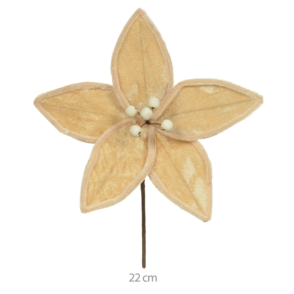 Haste Bico Papagaio 22cm Bege Florarte