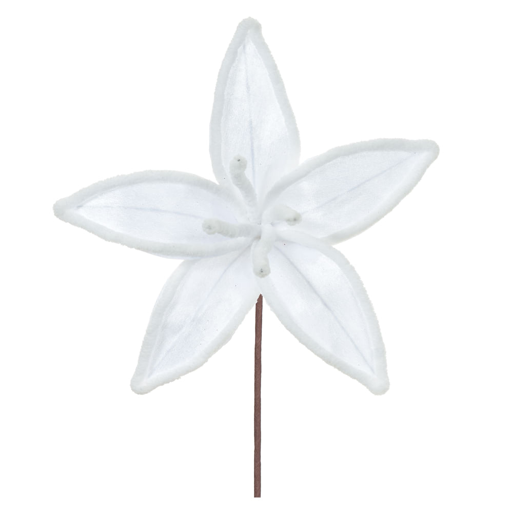 Haste Bico Papagaio 25cm Branco Florarte