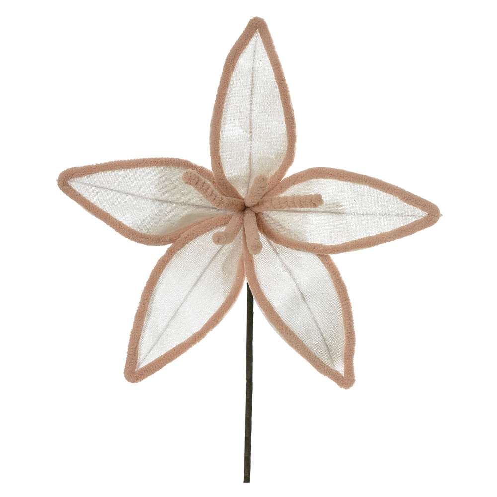 Haste Bico Papagaio 25cm Bege Florarte