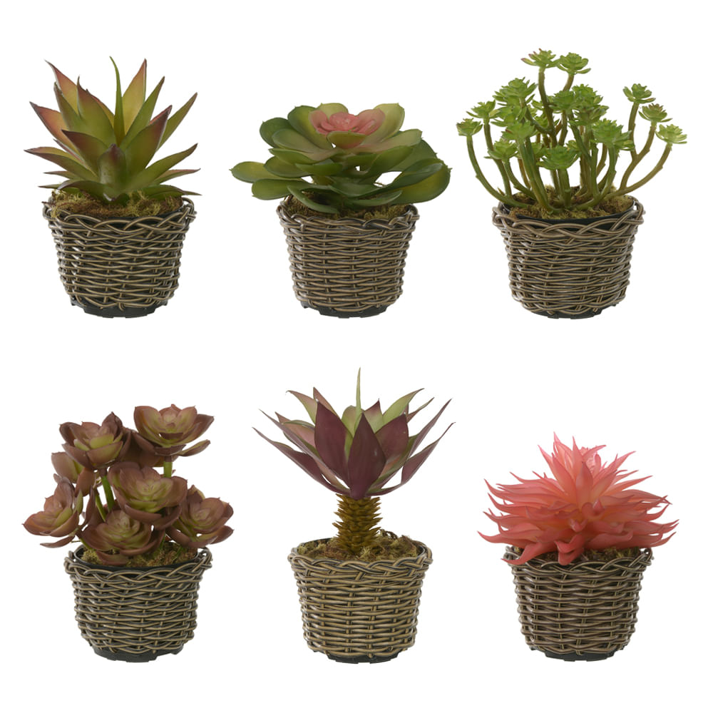 Arranjo Suculenta 16cm Vaso em Fibra Sintética Sortido Flor Arte