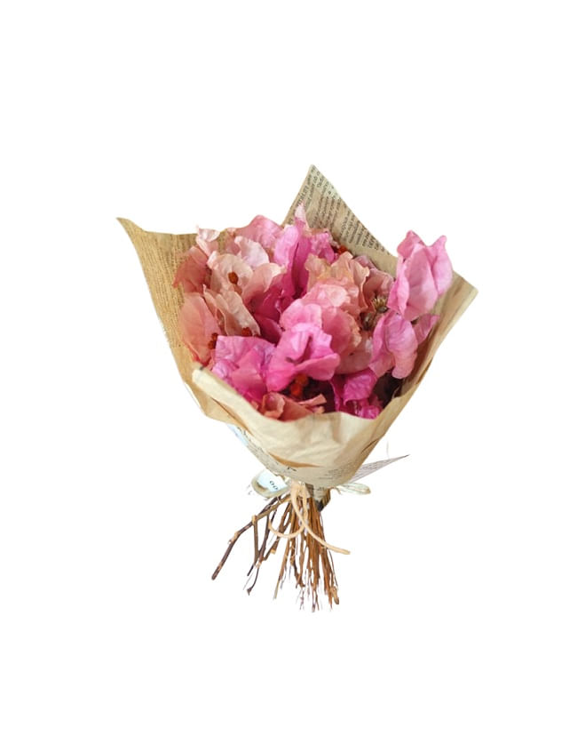 Buquê de Flores Desidratadas P Rosa Claro Amanda Flores