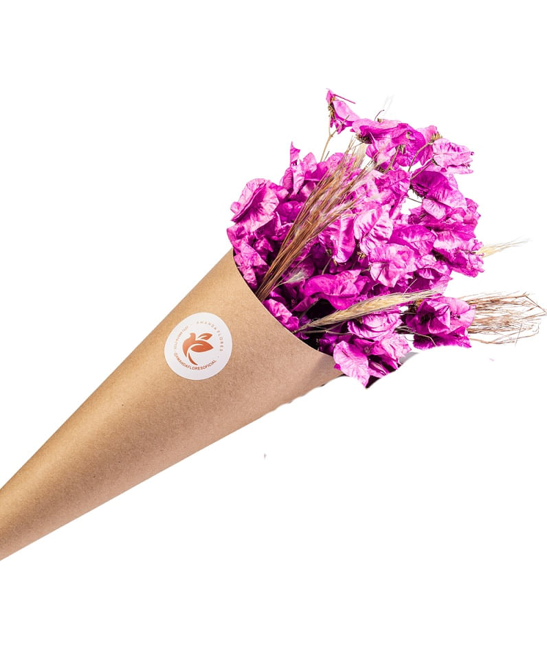 Buquê de Flores Desidratadas no Cone Rosa Pink Amanda Flores