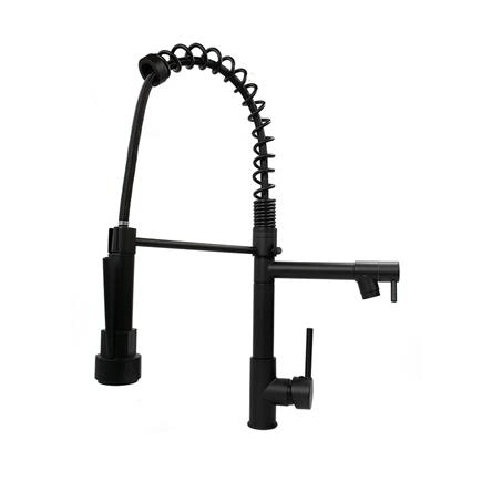 Torneira Monocomando com Spray Extensor Preto Santana Import