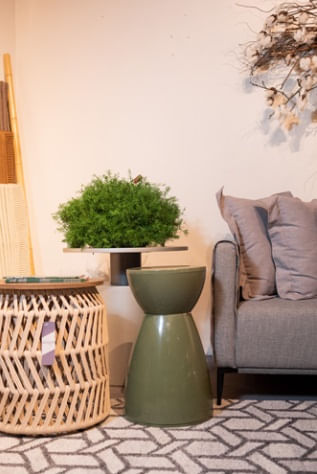 Banco Rad Verde Alecrim Im In Home - Imagem 4