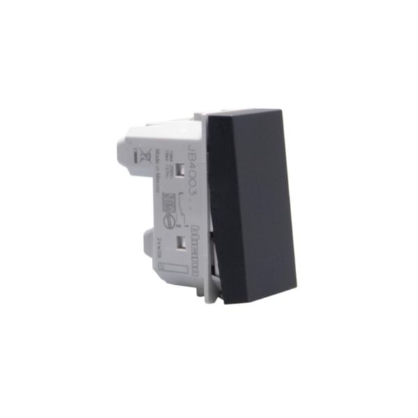 Módulo Interruptor Paralelo 10A MatixgGo Preto Pial